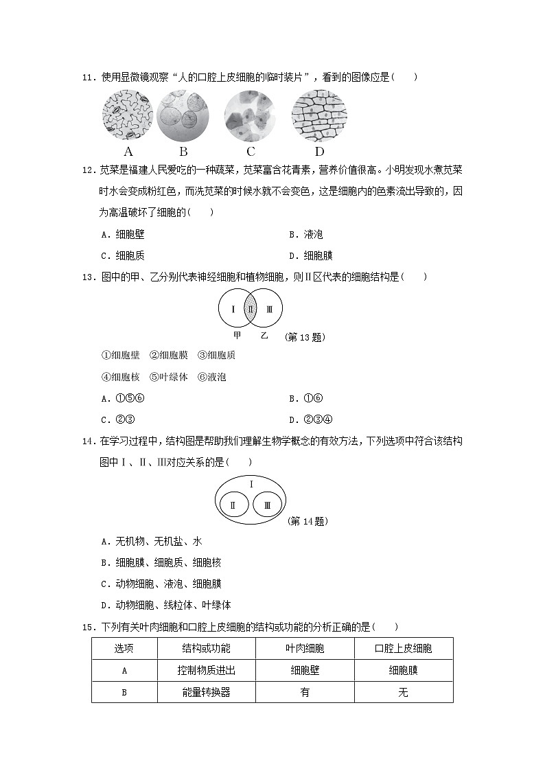 福建省2024七年级生物上册第一单元生物和细胞第一二章学情评估试卷（附答案人教版）第3页