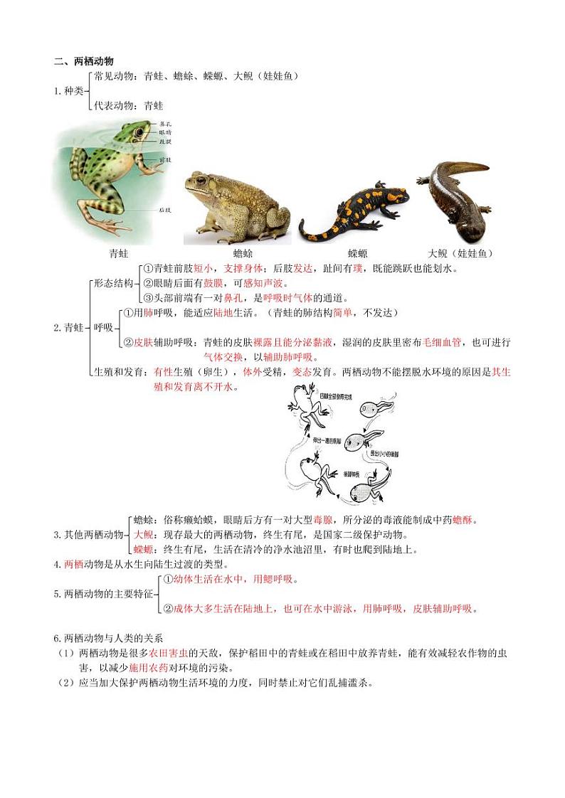 八年级上册（教师版）第2页