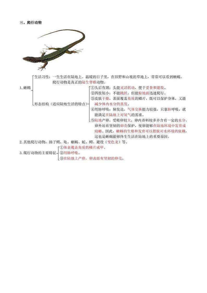 八年级上册（教师版）第3页