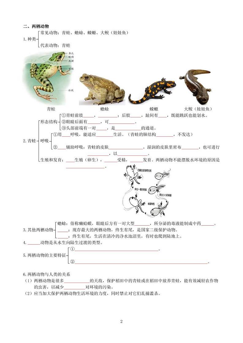 八年级上册（学生版）第2页