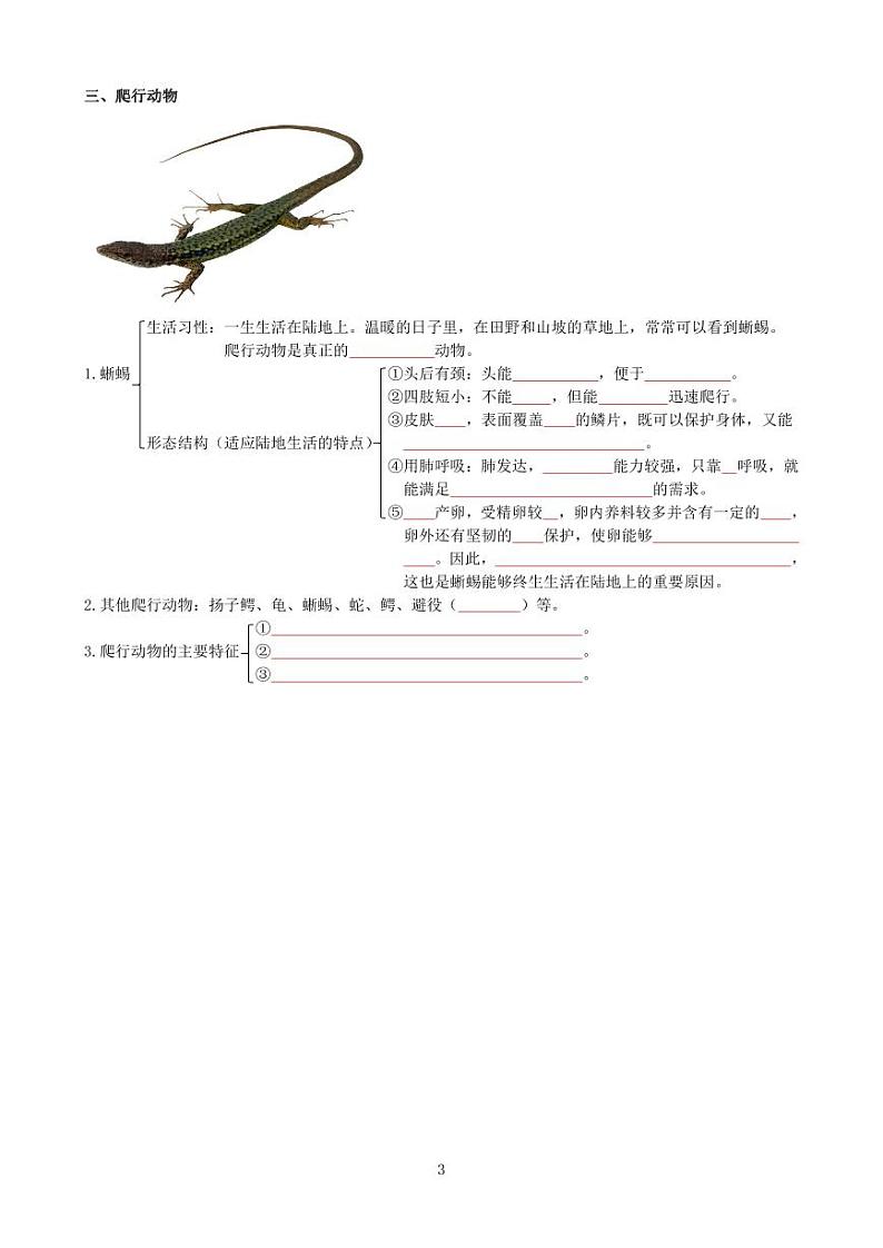 八年级上册（学生版）第3页