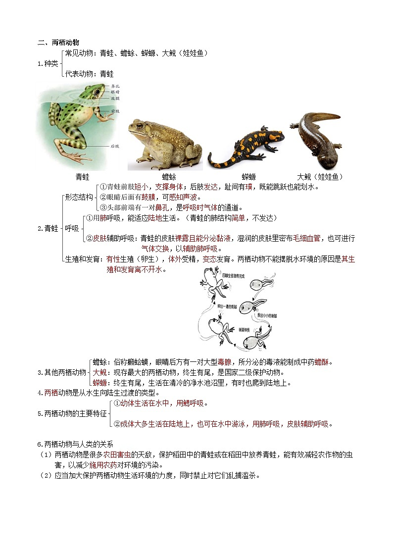 八年级上册（教师版）第2页