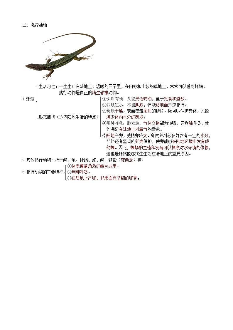 八年级上册（教师版）第3页