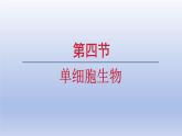 2024七年级生物上册第一单元生物和细胞第三章从细胞到生物体第四节单细胞生物课件（人教版）