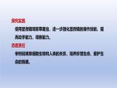2024七年级生物上册第一单元生物和细胞第三章从细胞到生物体第四节单细胞生物课件（人教版）