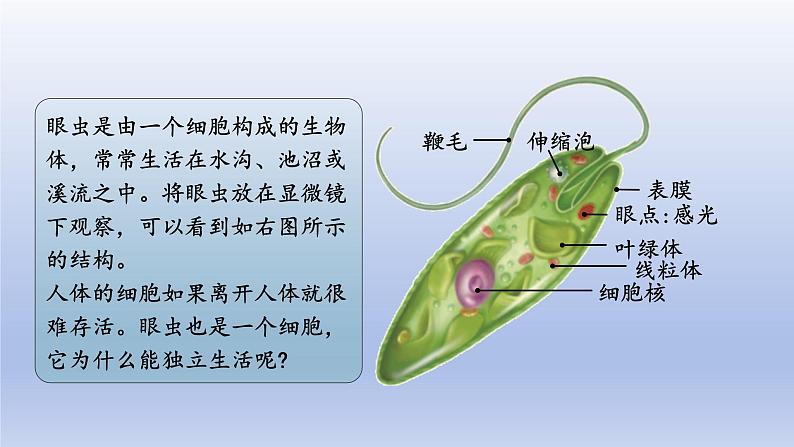 人教生物七上第一单元第三章第四节第4页