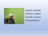 2024七年级生物上册第一单元生物和细胞第二章认识细胞第四节细胞的生活课件（人教版）