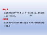 2024七年级生物上册第一单元生物和细胞第一章认识生物第一节观察周边环境中的生物课件（人教版）