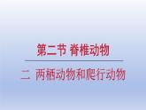 2024七年级生物上册第二单元多种多样的生物第二章动物的类群第二节脊椎动物二两栖动物和爬行动物课件（人教版）