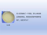 2024七年级生物上册第二单元多种多样的生物第二章动物的类群第二节脊椎动物二两栖动物和爬行动物课件（人教版）