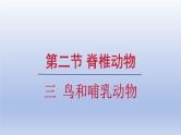 2024七年级生物上册第二单元多种多样的生物第二章动物的类群第二节脊椎动物三鸟和哺乳动物课件（人教版）