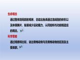 2024七年级生物上册第二单元多种多样的生物第二章动物的类群第二节脊椎动物一鱼课件（人教版）