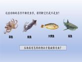 2024七年级生物上册第二单元多种多样的生物第二章动物的类群第二节脊椎动物一鱼课件（人教版）