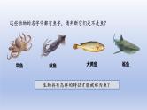 2024七年级生物上册第二单元多种多样的生物第二章动物的类群第二节脊椎动物一鱼课件（人教版）