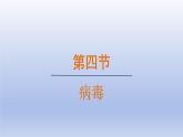 2024七年级生物上册第二单元多种多样的生物第三章微生物第四节病毒课件（人教版）