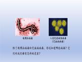 2024七年级生物上册第二单元多种多样的生物第三章微生物第四节病毒课件（人教版）