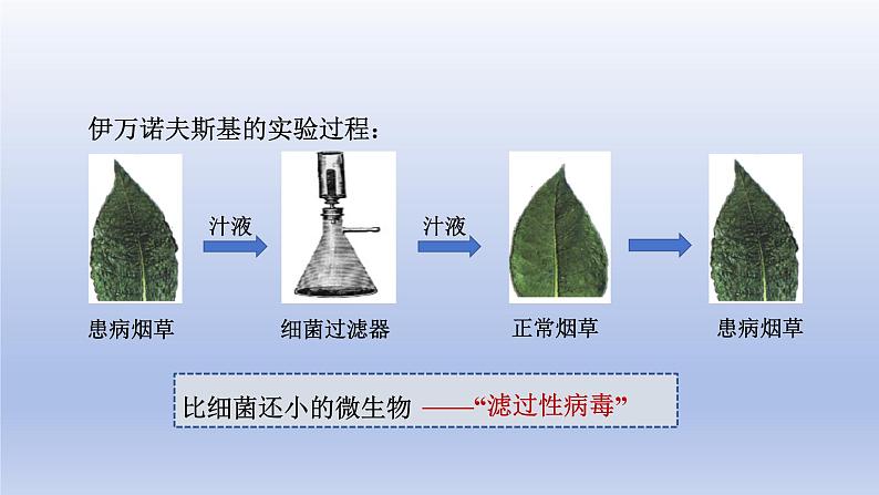 人教生物七上第二单元第三章第四节第7页