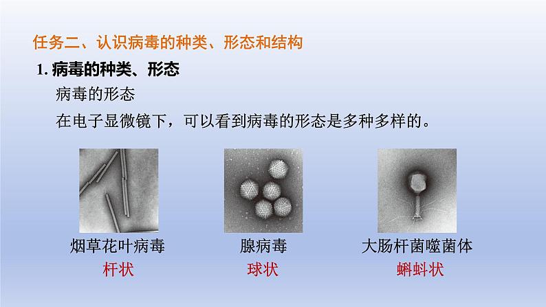 人教生物七上第二单元第三章第四节第8页