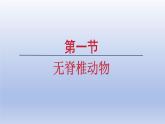 2024七年级生物上册第二单元多种多样的生物第二章动物的类群第一节无脊椎动物课件（人教版）