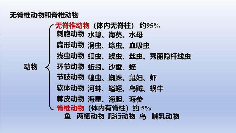 2024七年级生物上册第二单元多种多样的生物第二章动物的类群第一节无脊椎动物课件（人教版）第8页