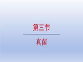 2024七年级生物上册第二单元多种多样的生物第三章微生物第三节真菌课件（人教版）