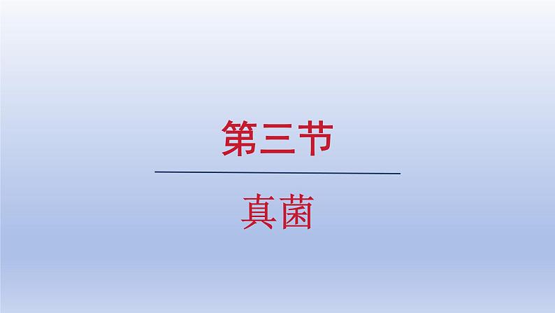 2024七年级生物上册第二单元多种多样的生物第三章微生物第三节真菌课件（人教版）第1页