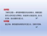 2024七年级生物上册第二单元多种多样的生物第三章微生物第三节真菌课件（人教版）