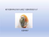 2024七年级生物上册第二单元多种多样的生物第三章微生物第三节真菌课件（人教版）