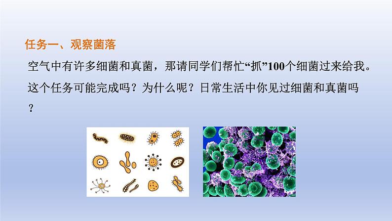 2024七年级生物上册第二单元多种多样的生物第三章微生物第一节微生物的分布课件（人教版）第6页