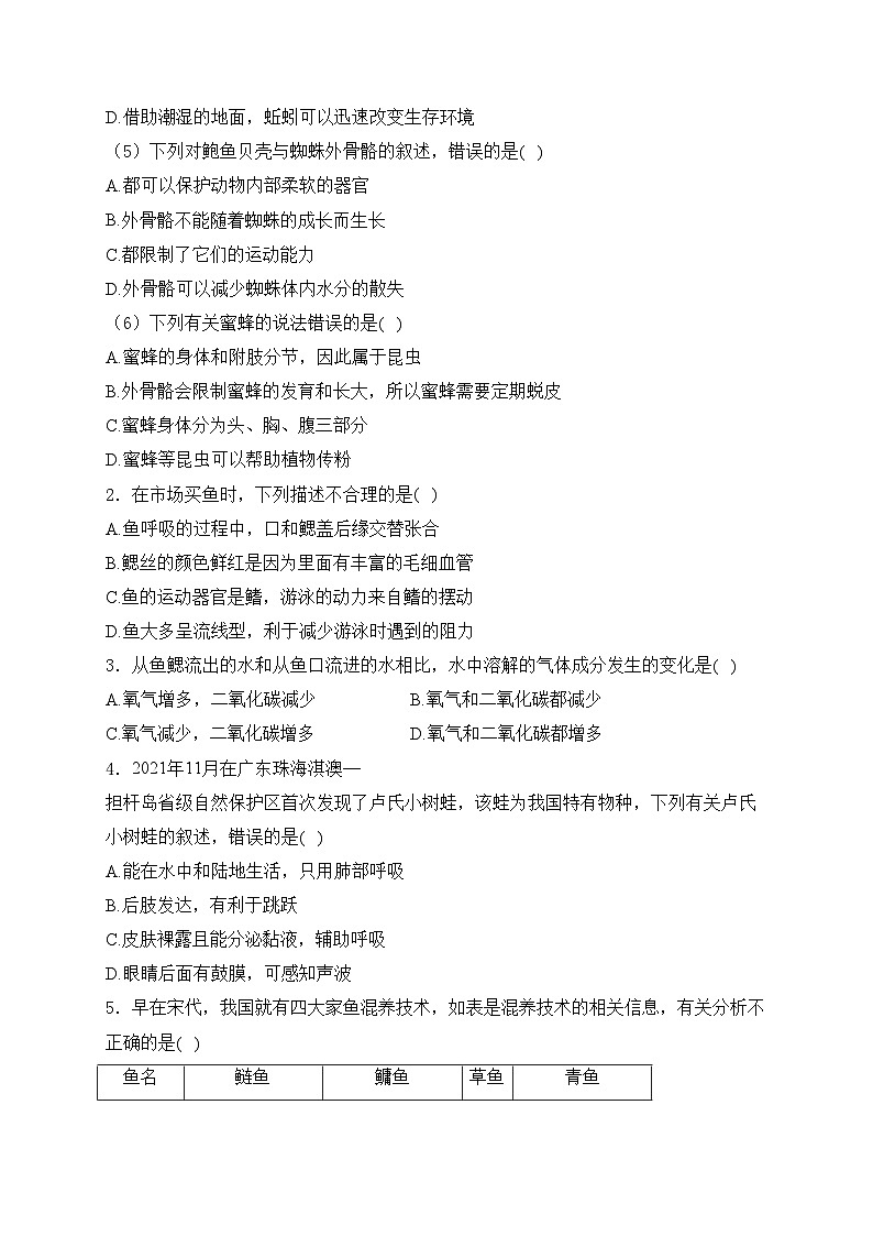 广东省广州市白云区两校联考2024-2025学年八年级上学期9月月考生物试卷(含答案)第2页