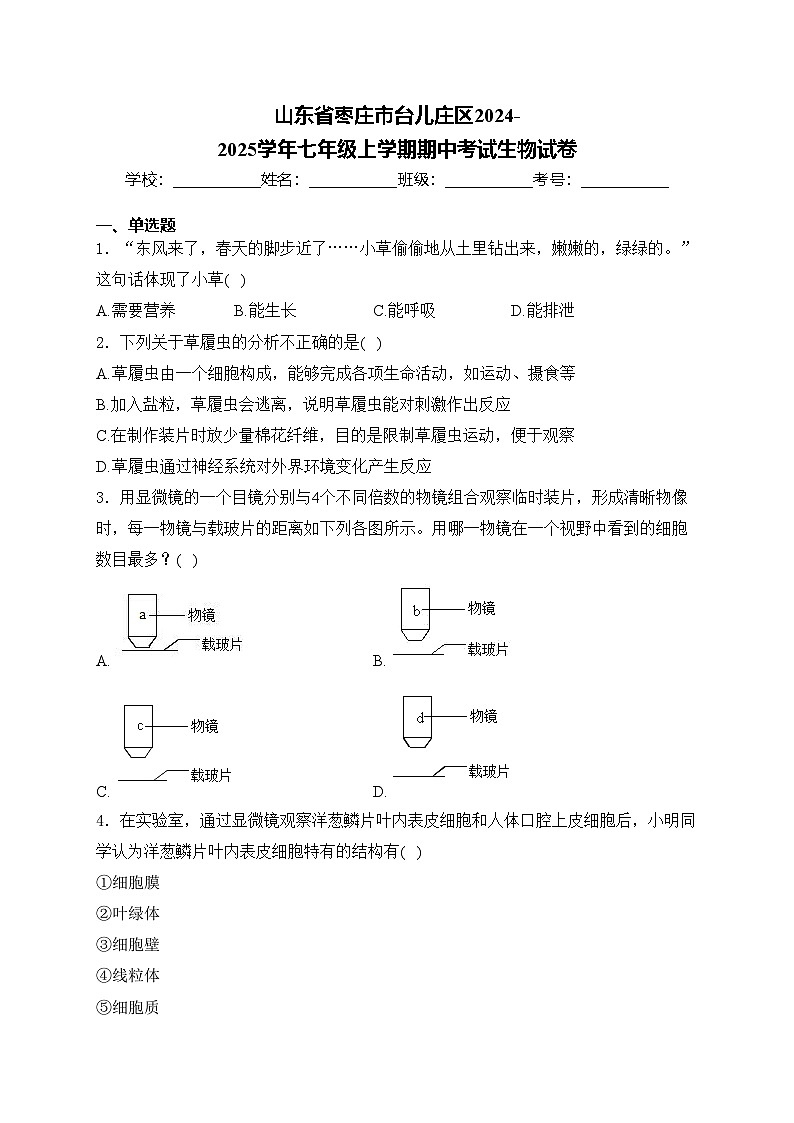 山东省枣庄市台儿庄区2024-2025学年七年级上学期期中考试生物试卷(含答案)第1页