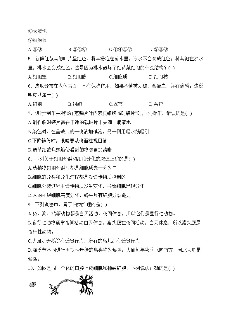 山东省枣庄市台儿庄区2024-2025学年七年级上学期期中考试生物试卷(含答案)第2页