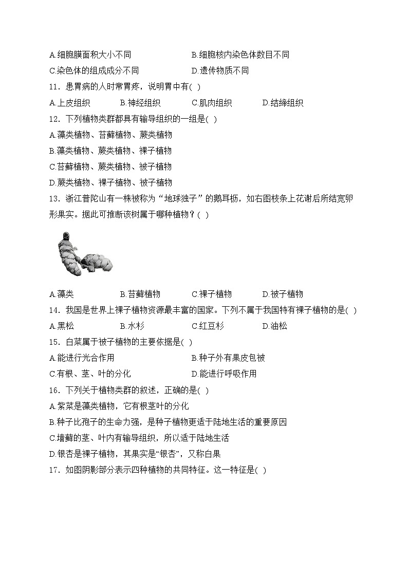 山东省枣庄市台儿庄区2024-2025学年七年级上学期期中考试生物试卷(含答案)第3页