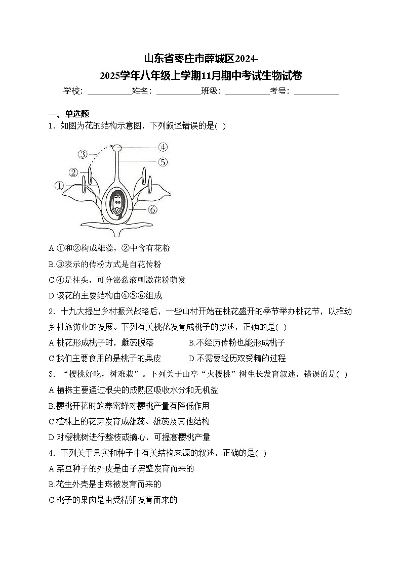 山东省枣庄市薛城区2024-2025学年八年级上学期11月期中考试生物试卷(含答案)第1页