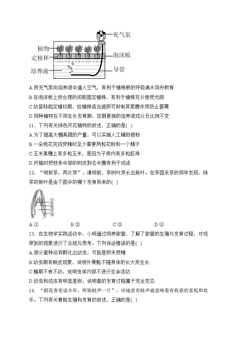 山东省枣庄市薛城区2024-2025学年八年级上学期11月期中考试生物试卷(含答案)第3页