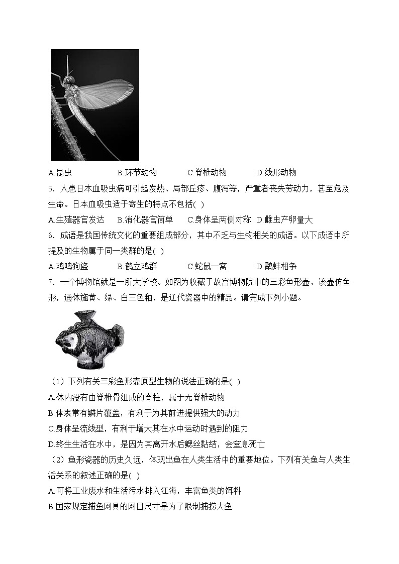 山西省大同市2024-2025学年八年级上学期期中考试生物试卷(含答案)第2页