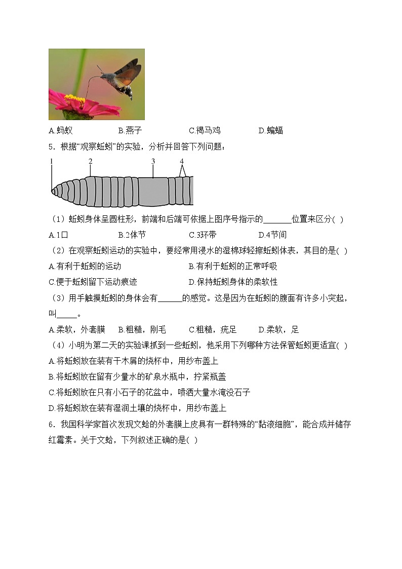 山西省大同市第一中学校2024-2025学年八年级上学期第一次月考生物试卷(含答案)第2页