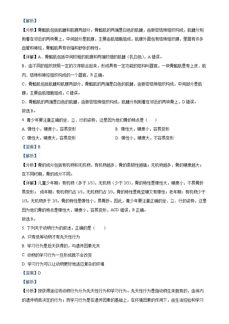 河南省驻马店市驿城区2024-2025学年八年级上学期期中生物学试题（解析版）-A4第2页