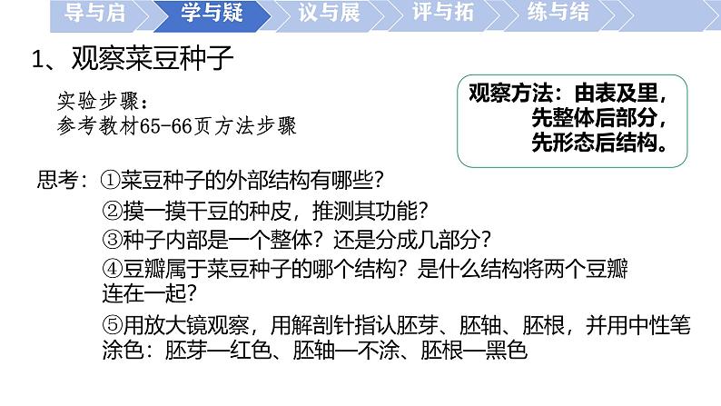 初中  生物  人教版（2024）  七年级上册第二节 种子植物 课件第5页