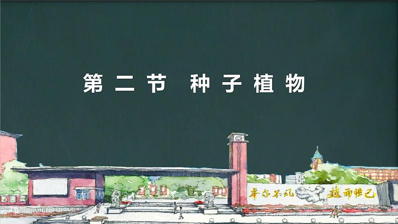 初中  生物  人教版（2024）  七年级上册第二节 种子植物 课件第2页