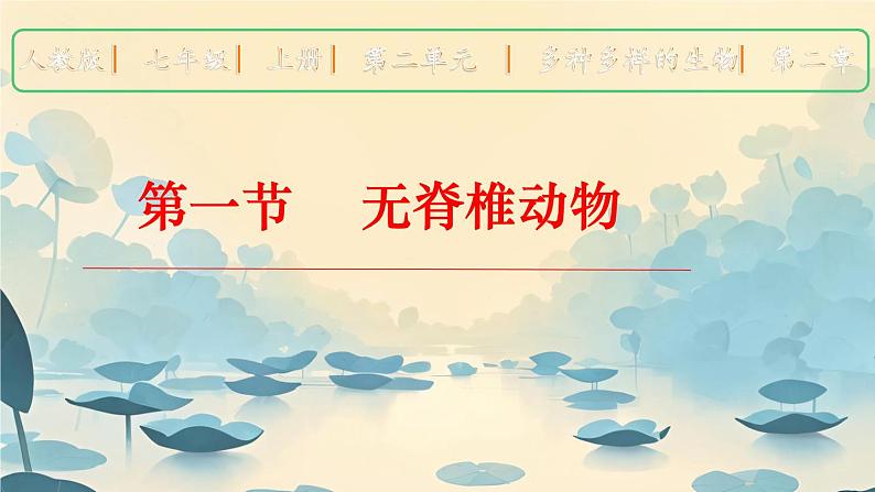 初中  生物  人教版（2024）  七年级上册第一节 无脊椎动物 课件第1页