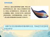 初中  生物  人教版（2024）  七年級(jí)上冊(cè)第一節(jié) 無(wú)脊椎動(dòng)物 課件