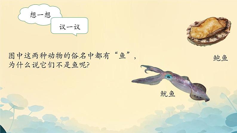 初中  生物  人教版（2024）  七年级上册第一节 无脊椎动物 课件第3页