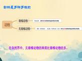 初中  生物  人教版（2024）  七年級(jí)上冊(cè)第一節(jié) 無(wú)脊椎動(dòng)物 課件
