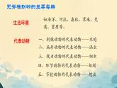 初中  生物  人教版（2024）  七年級(jí)上冊(cè)第一節(jié) 無(wú)脊椎動(dòng)物 課件