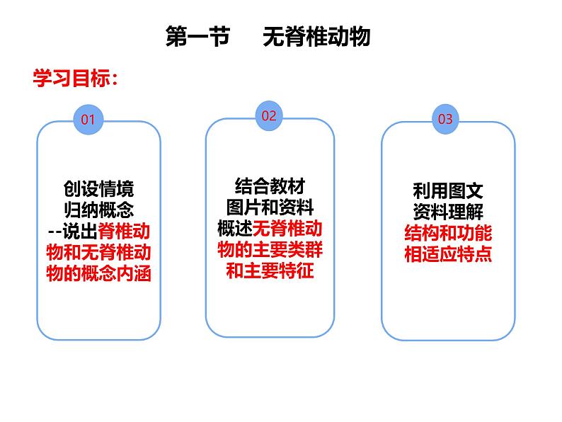 初中  生物  人教版（2024）  七年级上册第一节 无脊椎动物 课件第2页