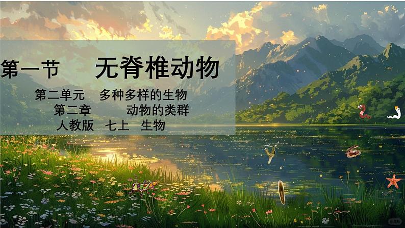 初中  生物  人教版（2024）  七年级上册第一节 无脊椎动物 课件第1页