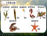 初中  生物  人教版（2024）  七年级上册第一节 无脊椎动物 课件