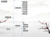 初中  生物  人教版（2024）  七年级上册第一节 无脊椎动物 课件