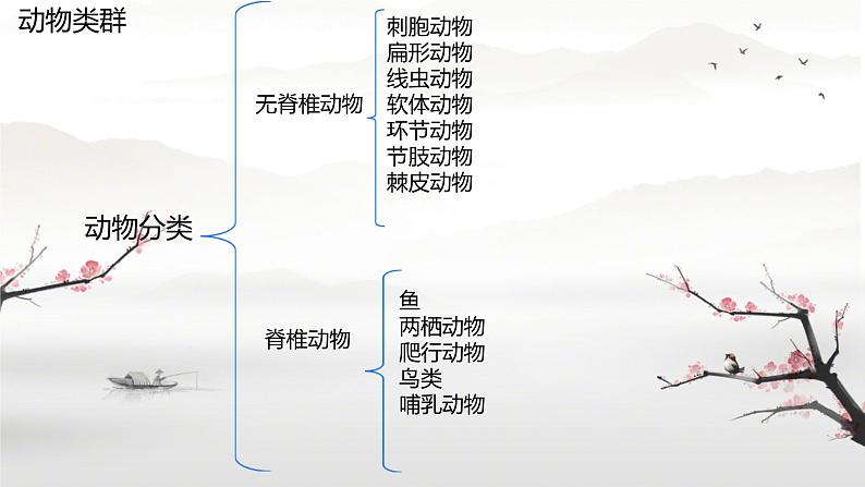 初中  生物  人教版（2024）  七年级上册第一节 无脊椎动物 课件第1页